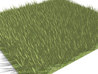 马尼拉草植物su模型，绿植草丛草图大师模型下载