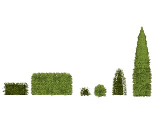 金塔柏灌木丛sketchup模型，常绿灌木skp文件下载