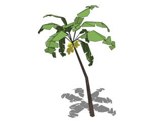 芭蕉乔木草图大师模型，景观绿植sketchup素材下载