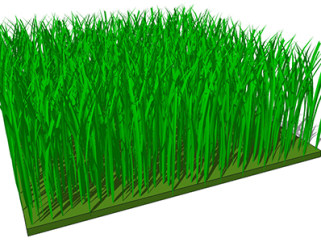 天堂草植物su模型，绿植草丛草图大师模型下载