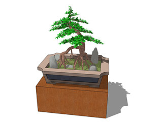 刺柏盆栽su素材，景观绿植草图大师模型下载