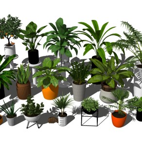 现代植物盆栽组合模型，植物盆栽组合sketchup模型下载