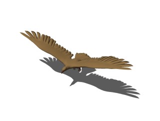 鹰草图大师模型，鹰sketchup模型下载