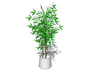 竹子盆栽sketchup模型，手绘绿植草图大师模型下载