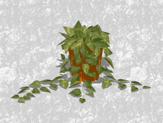 绿萝盆栽草图大师模型，家居植物盆景sketchup模型下载