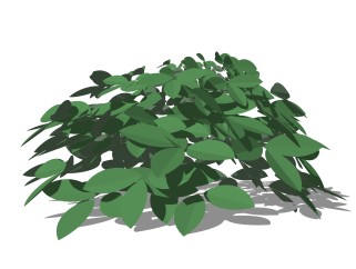 大叶黄杨灌木丛su模型，常绿灌木草图大师模型下载