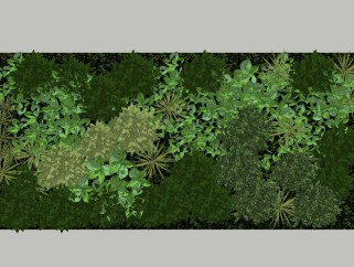 现代绿植背景墙草图大师模型，植物sketchup模型