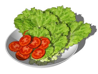现代蔬菜番茄草图大师模型，食物sketchup模型