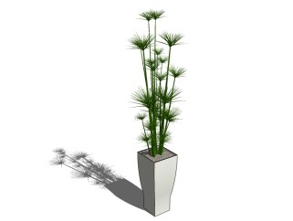 现代植物盆栽草图大师模型，多裂棕竹sketchup模型
