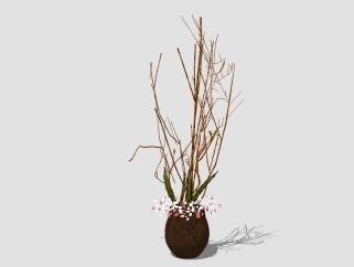 现代干支植物盆栽草图大师模型，干支sketchup模型