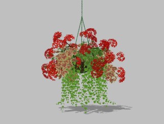 现代植物盆栽草图大师模型，长寿花sketchup模型
