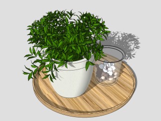 现代植物盆栽草图大师模型，非洲茉莉sketchup模型