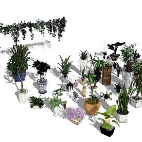 现代植物盆栽组合草图大师模型，盆栽组合sketchup模型