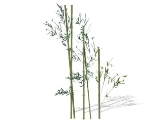 现代竹子草图大师模型，竹子sketchup模型