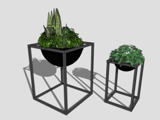 现代植物盆栽草图大师模型，绿萝sketchup模型