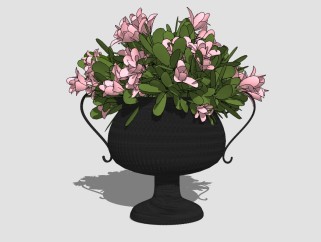 现代花瓶花卉草图大师模型，铁线莲sketchup模型