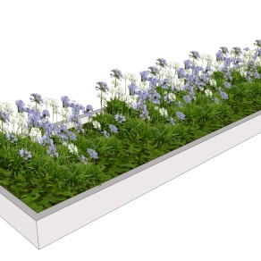 百子莲花池sketchup模型，室外景观植物skp文件下载