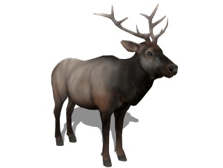 现代鹿草图大师模型，动物sketchup模型下载