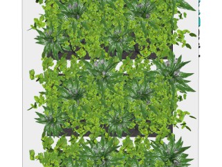 白掌植物墙sketchup模型，室内植物墙skp文件下载