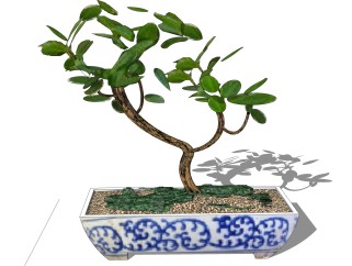 中式盆栽草图大师模型，盆栽su模型下载