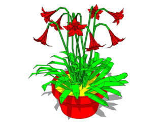 朱顶红盆栽su模型，手绘绿植草图大师模型下载