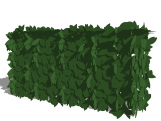 胡颓子灌木丛su模型，常绿灌木草图大师模型下载