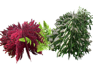皱叶荚蒾灌木su素材，景观绿植草图大师模型下载
