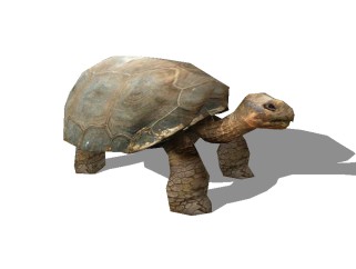 现代龟雕塑草图大师模型，龟雕塑sketchup模型下载