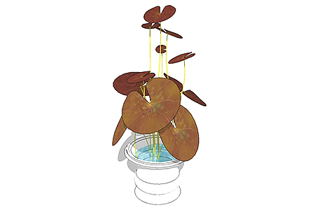荷花盆栽sketchup模型，手绘绿植草图大师模型下载