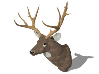 现代动物头颅装饰品免费su模型，动物头颅装饰品skp模型下载