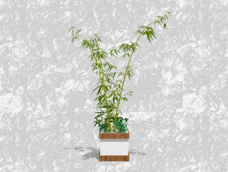 竹盆栽su模型，绿植盆景草图大师模型下载