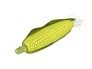现代玉米草图大师模型，食品sketchup模型下载