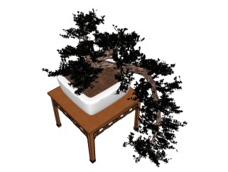 现代松树植物盆栽sketchup模型下载，松树盆栽草图大师模型
