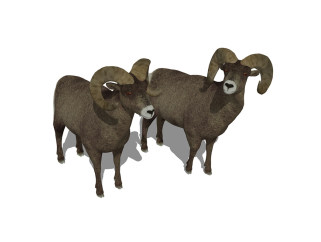 现代山羊动物草图大师模型，山羊动物sketchup模型下载