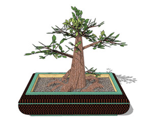 榕树盆栽su素材，景观绿植草图大师模型下载