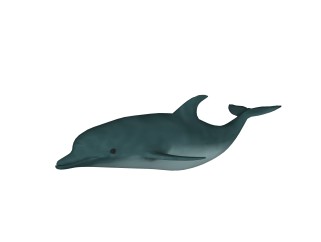 现代海豚sketchup模型，动物草图大师模型下载
