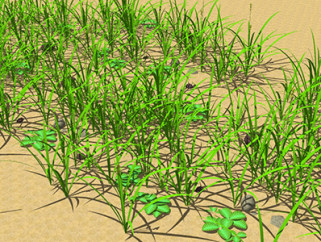 草坪植物su模型，绿植草丛草图大师模型下载