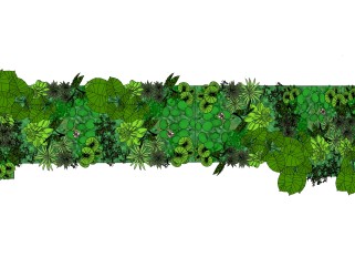 虎耳草植物墙sketchup模型，室内植物墙skp文件下载
