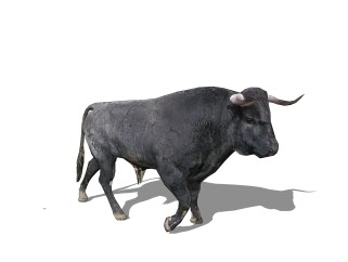 现代牛sketchup模型，动物草图大师模型下载