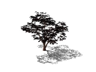 现代红枫sketchup模型免费下载，景观树草图大师模型