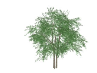 现代景观柳树免费su模型下载、景观柳树草图大师模型下载