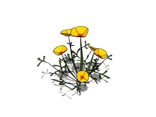 毛茛植物skb模型分享，植物花草图大师模型免费下载
