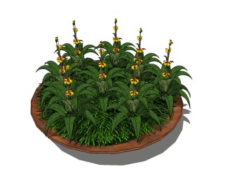 现代植物盆栽sketchup模型，盆栽草图大师模型下载