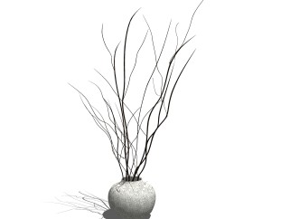 现代室内植物草图大师模型，室内植物SKP模型下载