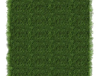 大羽藓植物墙sketchup模型，室内植物墙skp文件下载