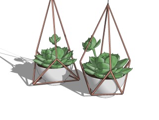 现代多肉植物盆栽草图大师模型下载，多肉植物盆栽sketchup免费模型