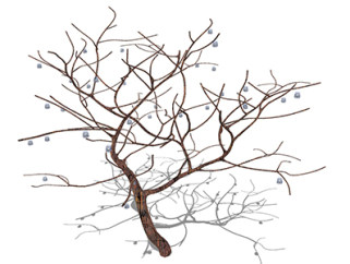 火炬树枯树乔木草图大师模型，景观绿植sketchup素材下载