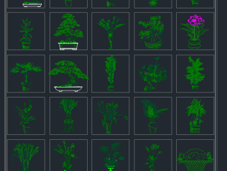 最新室外植物立面图CAD模板，植物素材施工图纸下载
