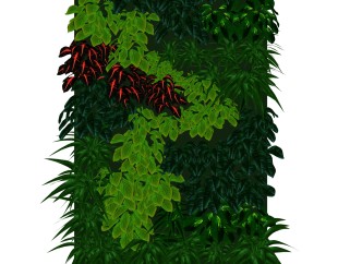 花叶冷水花植物墙sketchup模型，室内植物墙skp文件下载