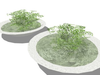 水培石质花盆植物su模型，铁线蕨花艺草图大师模型下载